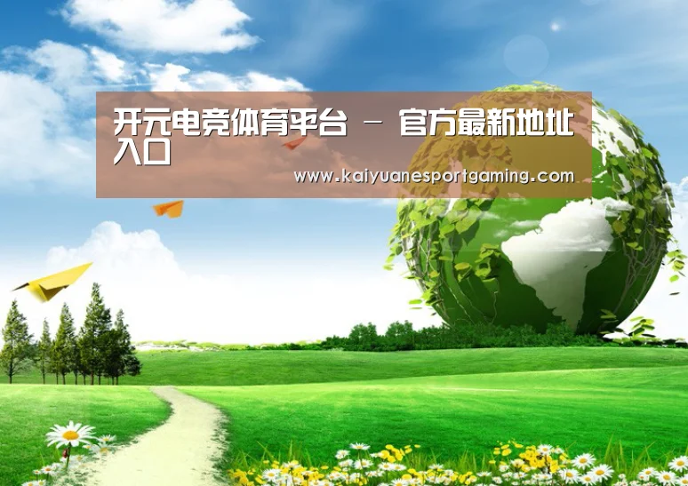 开元平台公司
