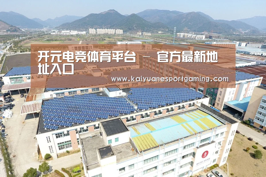 案例展示四