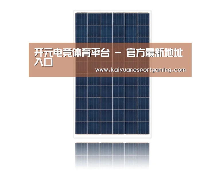 产品名称一