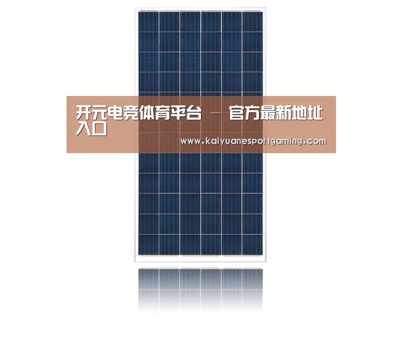 产品名称一
