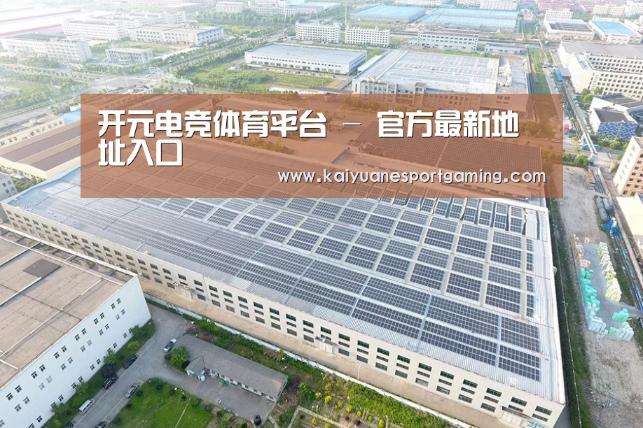 案例展示二