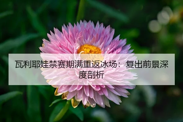wa-li-ye-wa-jin-sai-qi-man-chong-fan-bing-chang-fu-chu-qian-jing-shen-du-pou-xi-3-580.jpg