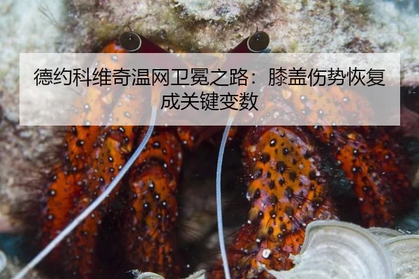 de-yue-ke-wei-qi-wen-wang-wei-mian-zhi-lu-xi-gai-shang-shi-hui-fu-cheng-guan-jian-bian-shu-3-145.jpg