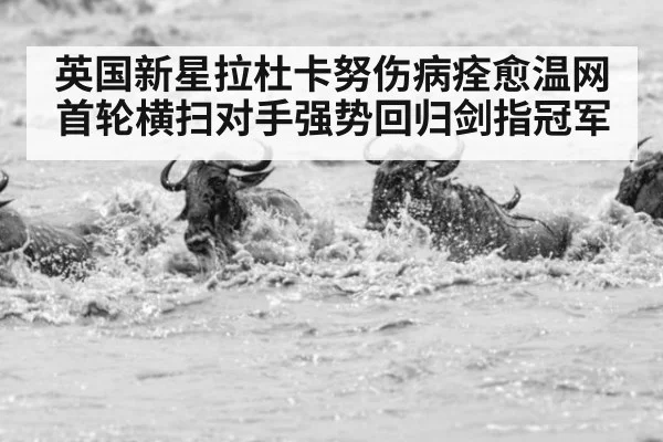 英国新星拉杜卡努伤病痊愈温网首轮横扫对手强势回归剑指冠军